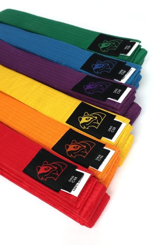 kampfsport-farbguertel-budo-guertal-dax-belts-einfarbig.jpg